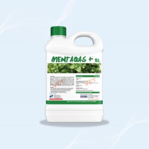 Menta QAS+